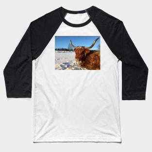 Scottish Highland Cattle Cow 2277 Baseball T-Shirt